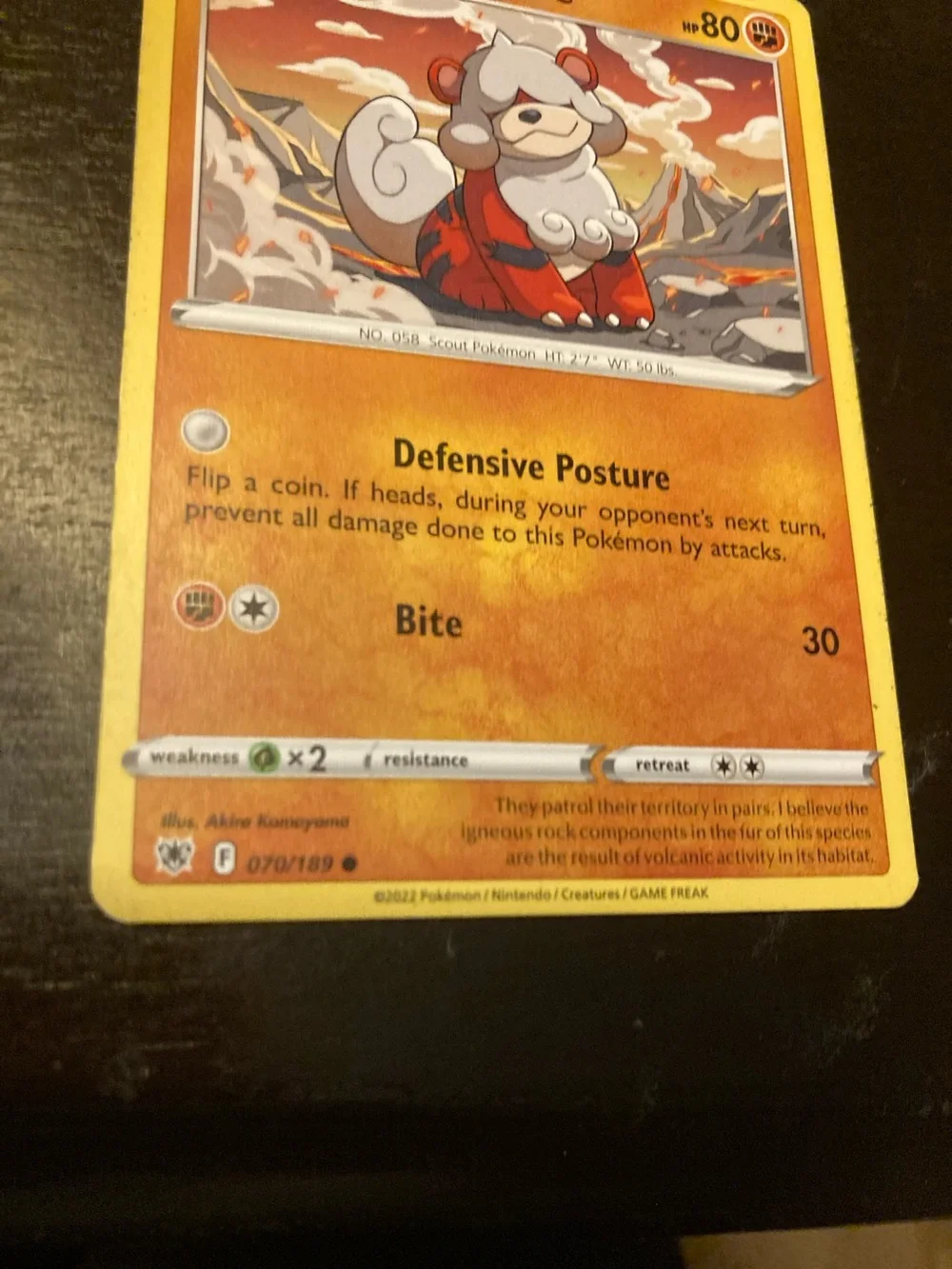(Check last picture to see wearing)  Hisuian Growlithe Trading Card